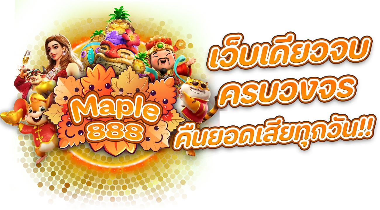 maple888